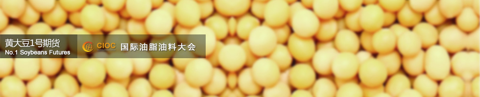 黃大豆1號