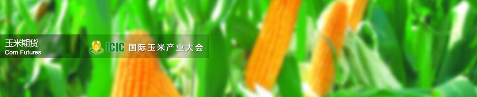 玉米